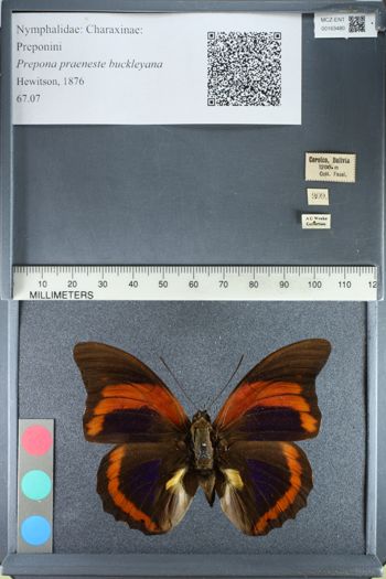 Media type: image;   Entomology 163480